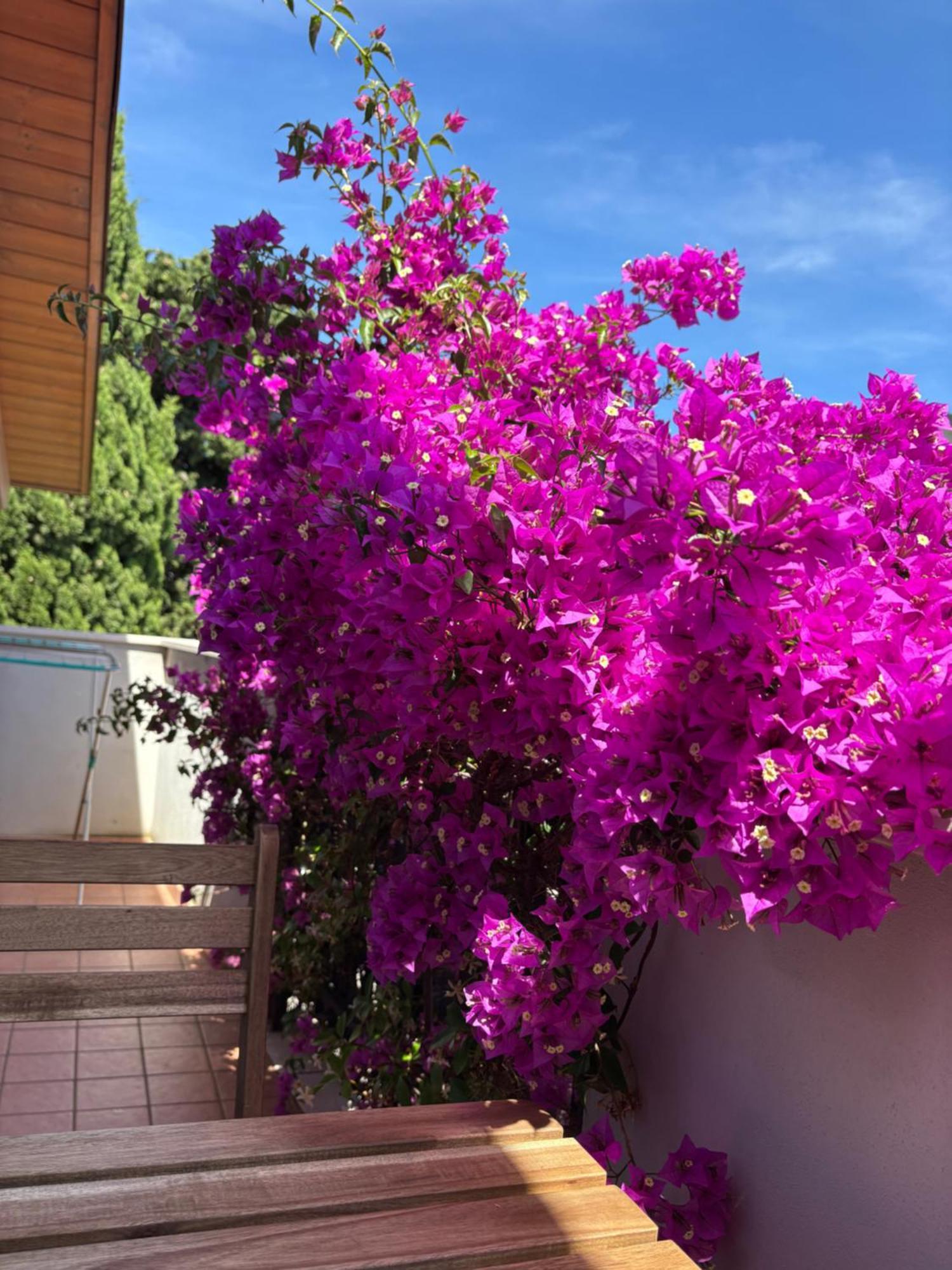 B&B Carlotta Montesilvano Marina Esterno foto